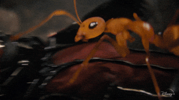 Ant Man Disney Plus GIF by Disney+