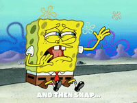 season 5 episode 3 GIF by SpongeBob SquarePants