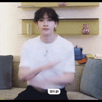 Stray Kids Skz GIF