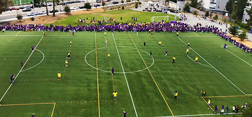 San Francisco Sf GIF by San Francisco State University