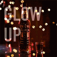 Tuaca party weekend drinking glow GIF