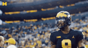 Excited College Football GIF by Michigan Athletics