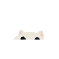 Big Eyes Cat Sticker