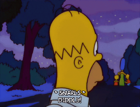 homer simpson GIF