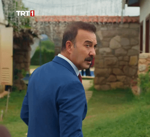 Lets Go GIF by TRT