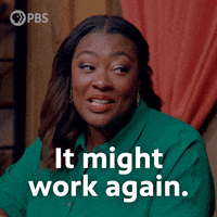 Could Work Season 3 GIF by PBS