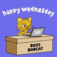 Work Working GIF by VeeFriends