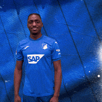 Sport Bundesliga GIF by TSG Hoffenheim