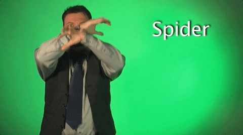 sign language spider GIF by Sign with Robert