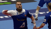 Ehfeuro GIF by EHF