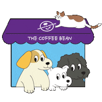 coffeebeankorea cat dog coffee pet Sticker