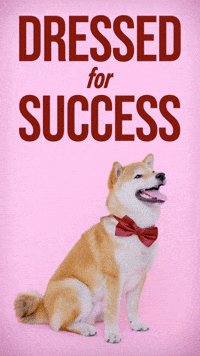 Lets Go Omg GIF by Sealed With A GIF