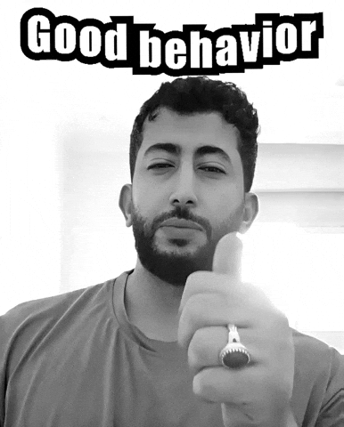 Good Behavior Saudi GIF