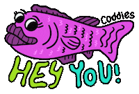 Hey You Hello Sticker by Coddies