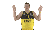 Ewe Baskets Bbl Sticker by EWE Baskets Oldenburg