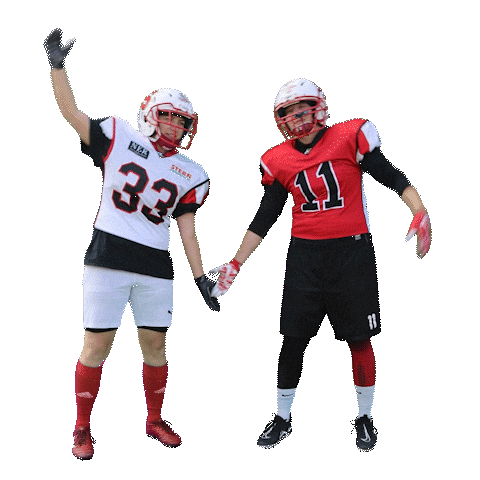 stuttgartscorpionssisters giphyupload love heart sisters Sticker