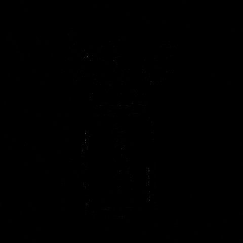 PaperFlowerFR giphygifmaker gif artist fleur lunaire bocal de fleurs paillettes GIF