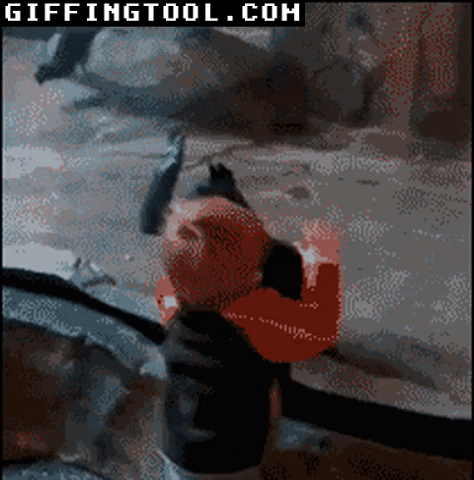 giphyupload GIF