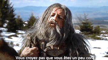 kaamelott GIF