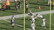 Stefon Diggs Football GIF by New England Patriots