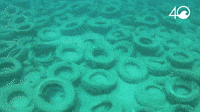 Osborne Reef