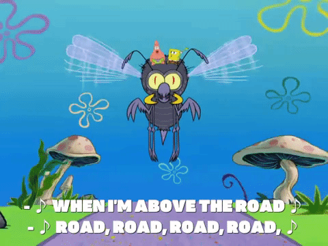 season 8 spongebob's runaway roadtrip: a squarepants family vacation GIF by SpongeBob SquarePants