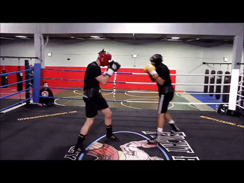 best_boxing_shoes giphyupload best boxing boots GIF