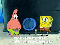 season 5 episode 6 GIF by SpongeBob SquarePants