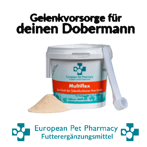 Doberman Dob Sticker by Europeanpetpharmacy