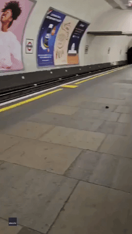 'Having a Ball': Mouse Scurries Around Empty Underground Station During COVID-19 Pandemic