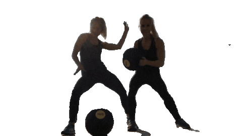 Happy Dance Sticker by BasisBall