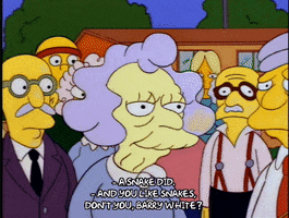 Season 4 Episode 20 GIF by The Simpsons