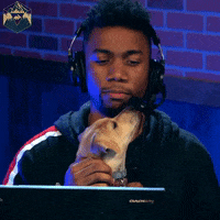 hyperrpg cute dog twitch puppy GIF
