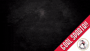 Ragnar Ache GIF by Sparta Rotterdam