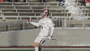 Celebration Lacrosse GIF by Colgate Athletics