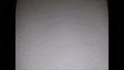 topshelf records prawn GIF