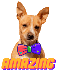 Dogs Puppy Sticker by Werner Bohr - Agentur für Gestaltung