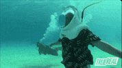 Gene Simmons Dive GIF by TrueReal