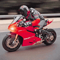 racing_rabbit yes right moto ducati GIF