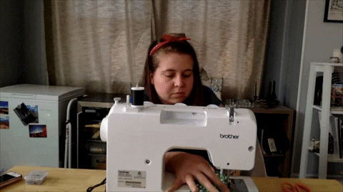 BDN_sschipani giphygifmaker GIF