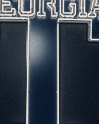 Georgia Tech Baseball GIF by Georgia Tech Yellow Jackets