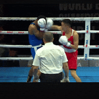 Artofboxing GIF by Bekzatsport