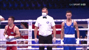 Artofboxing GIF by Bekzatsport