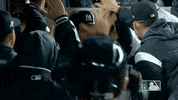 High Five Major League Baseball GIF by MLB