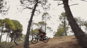 not2bad GIF by EchoBoom Sports