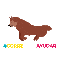 martin correr Sticker by San Martín