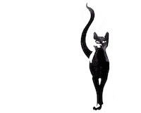 Hamleybooks cat books kat lezen Sticker
