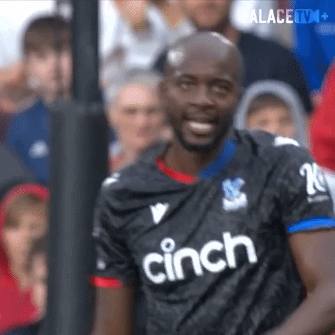Premier League Walk GIF by Crystal Palace Football Club