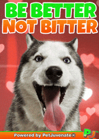 Be Nice Be Better Pj Petjuvenate GIF by PetJuvenate - PJ