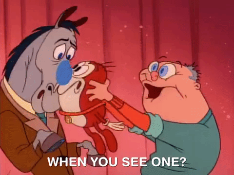nicksplat ren and timpy GIF